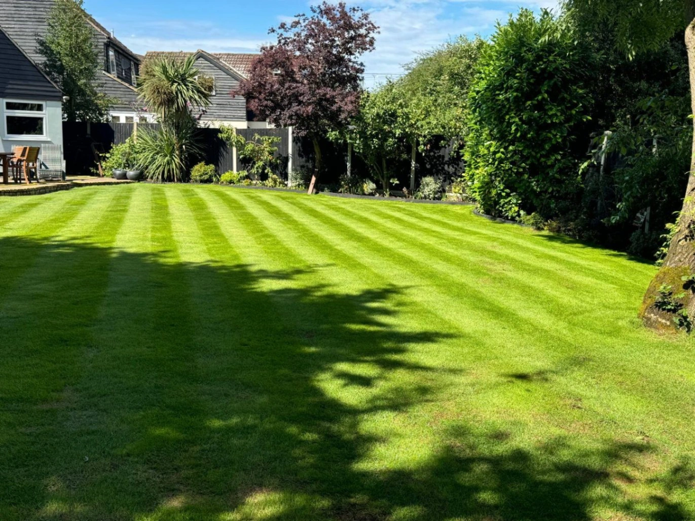 reliable-chelmsford-gardener
